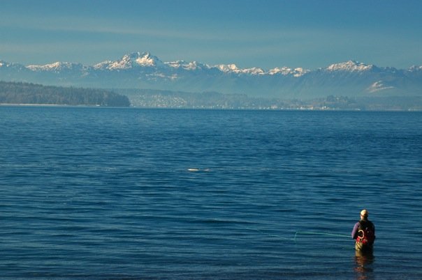 645_49500252201_6801_n