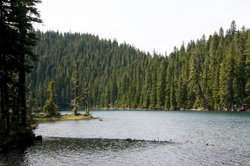 10373135_10152709539362202_4836327977041426415_o