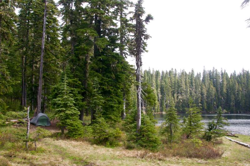 10997805_10152709541897202_2013104762700646820_o