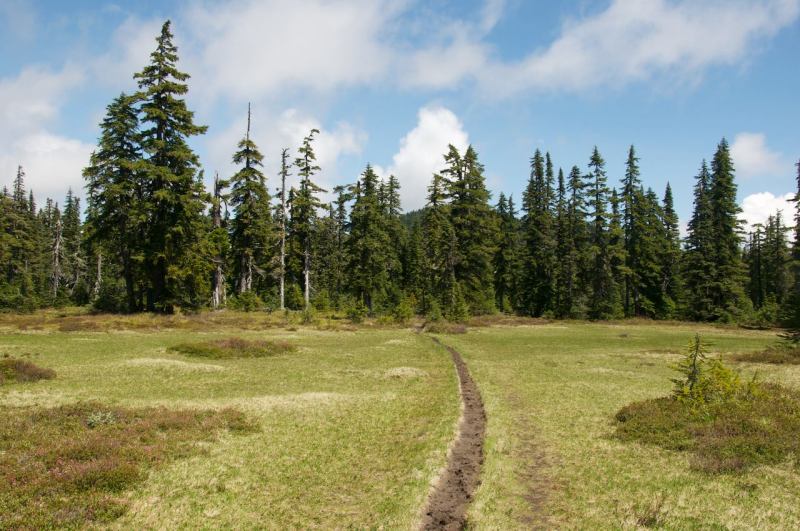 11039219_10152709527677202_1857317560321558488_o