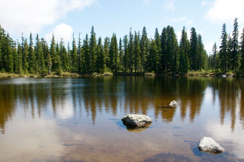 11110209_10152709527617202_5924150057704308205_o