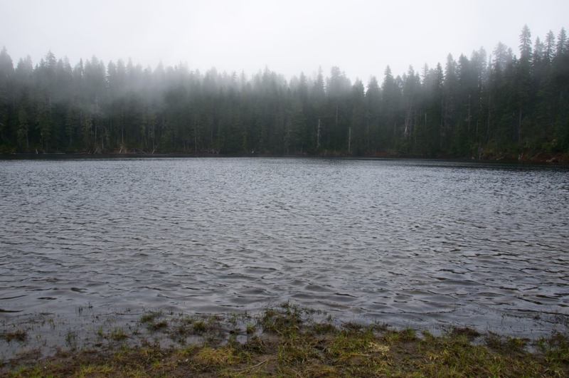 11357020_10152709539347202_8284923102370618767_o